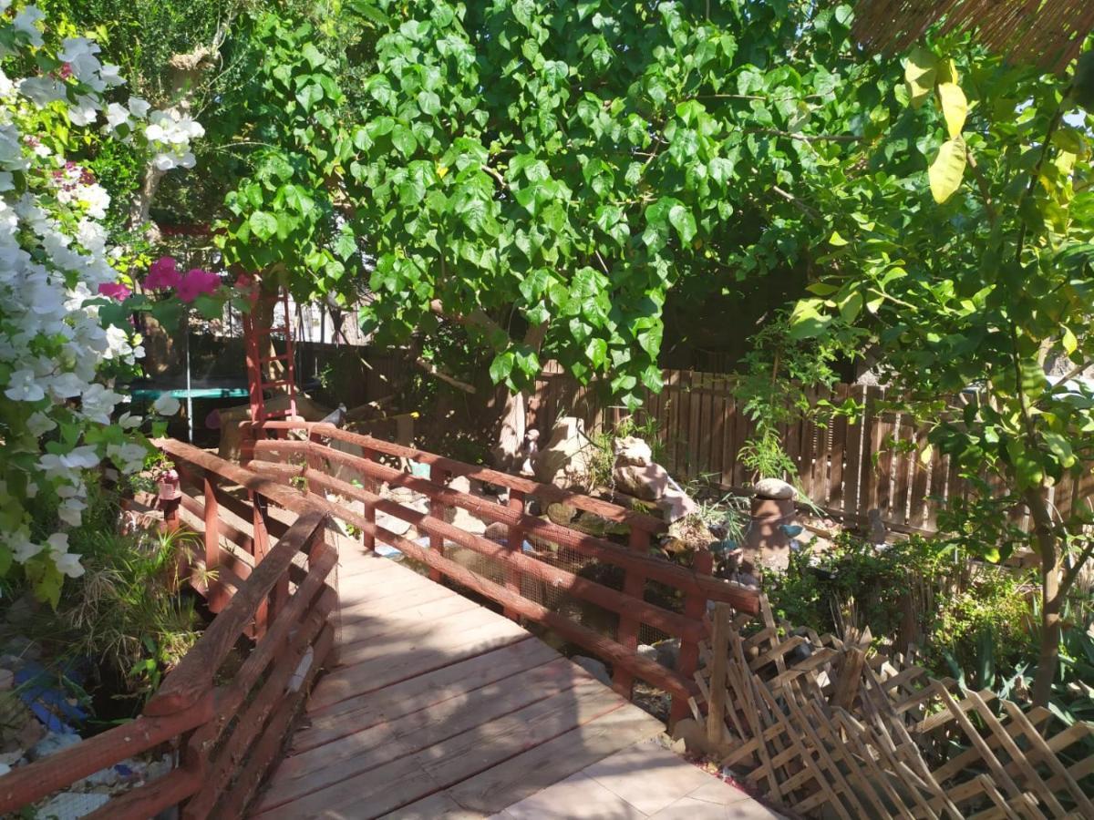 Lotus Turtle Garden Eilat Apartman Kültér fotó